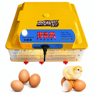 Bravix 48 Eggs 50W Automatic Egg Incubator with Turning Tray